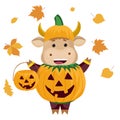 Halloween. Funny bull and pumpkin. Vector illustration. Isolated on a white background. Royalty Free Stock Photo